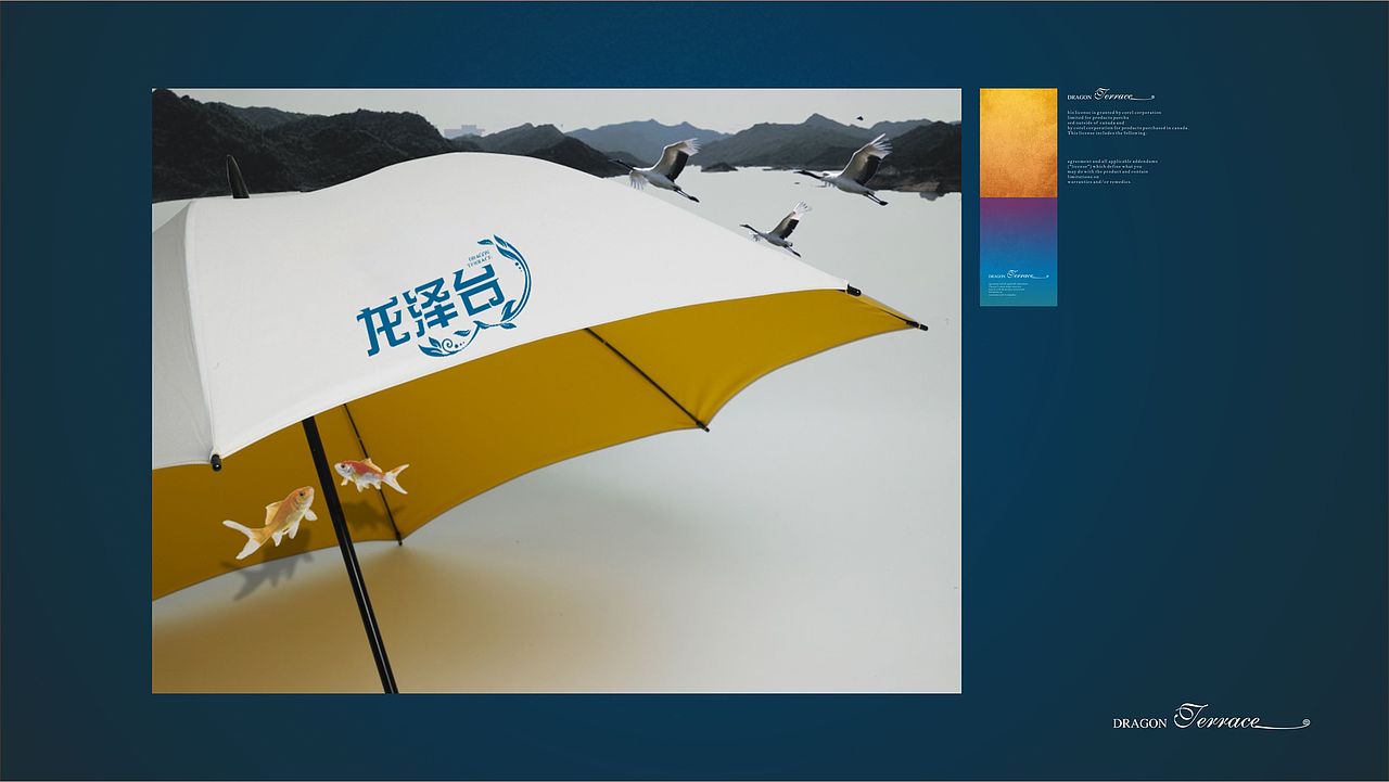 龙泽台 | 房地产品牌VIS