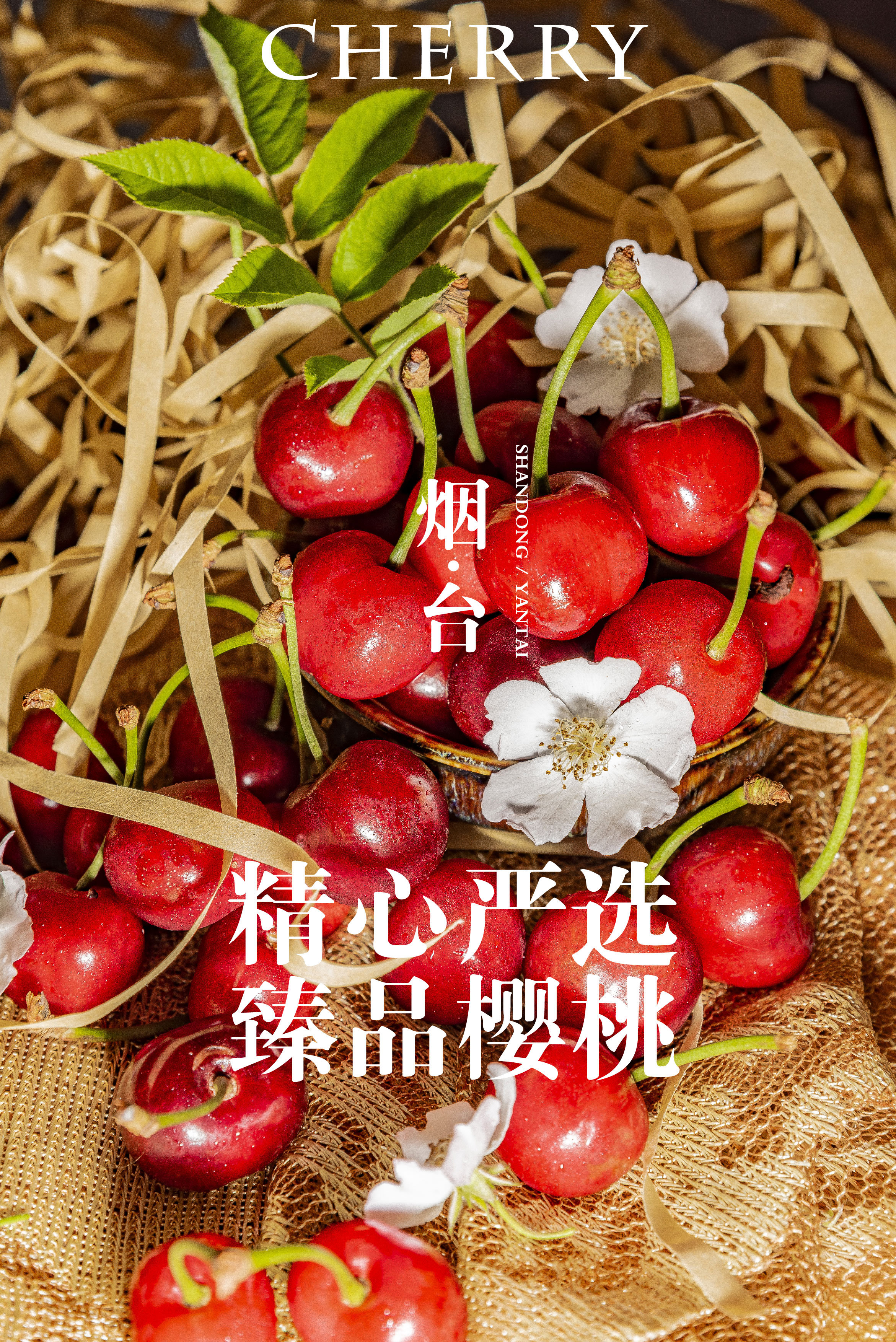 烟台大樱桃摄影海报