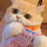小小胡桃的头像