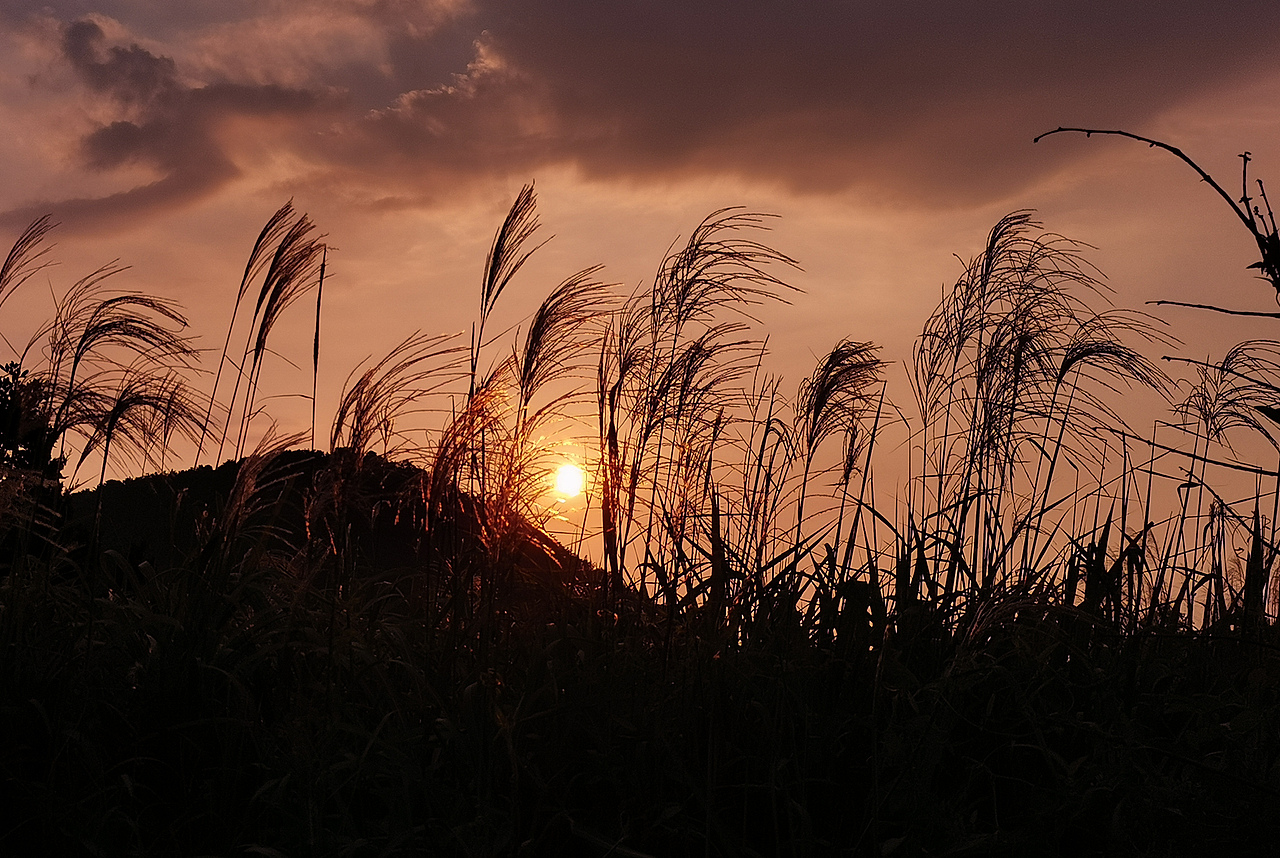 黄柏山（图ZMjIzNzkyODQw） - 风光摄影 - 站酷设计师维纳斯没有185原创素材 - 站酷ZCOOL