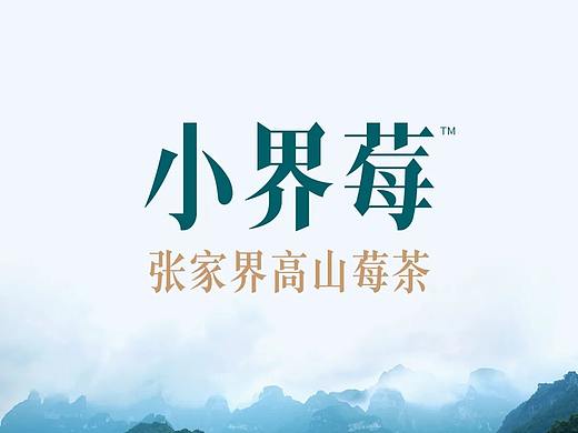 小界莓×大和 | 张家界莓茶全案,霜多才是好莓茶!