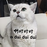 妖白虫的头像