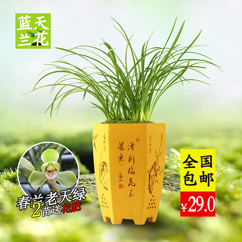 直通车（图ZMTM1NDQzMjQw） - 生活用品 - 站酷设计师invincible6原创素材 - 站酷ZCOOL