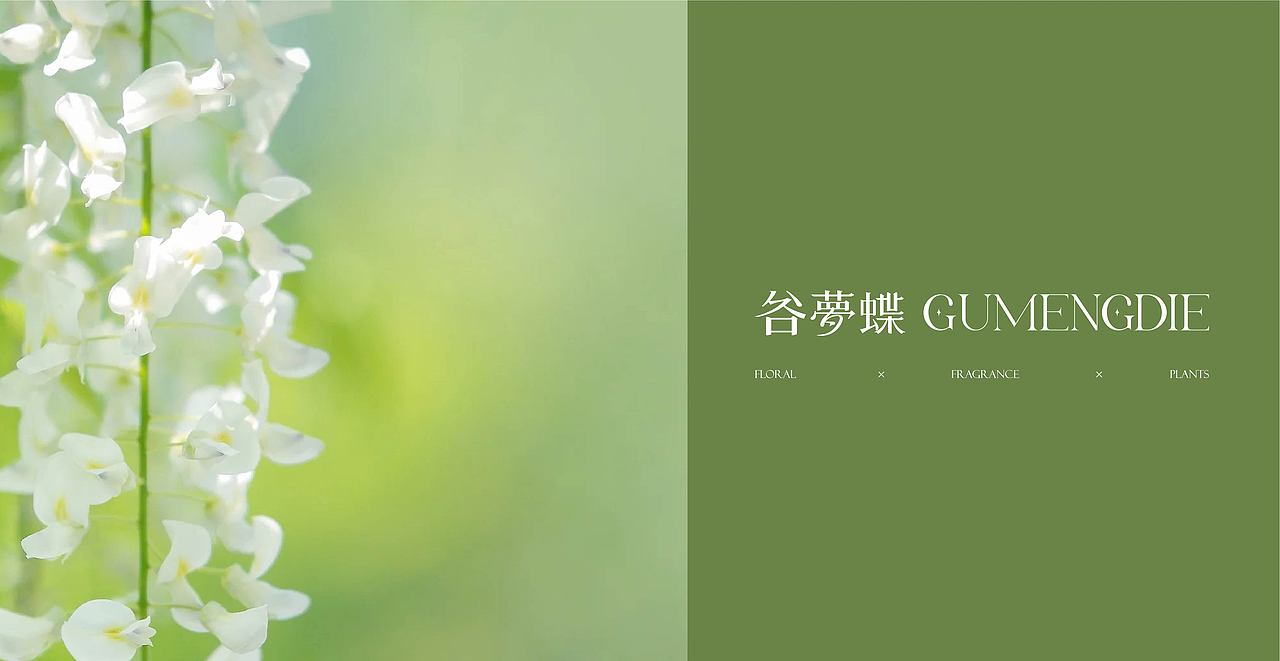谷梦蝶品牌提案(花艺 · 绿植 · 香薰)(图ZMzA1MDQ5NDAw) - 品牌 - 站酷设计师不二DEYU原创素材 - 站酷ZCOOL