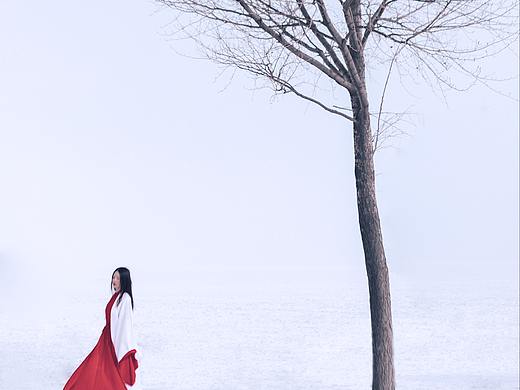 扬雪