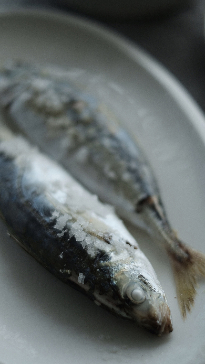 东山岛上一个庐（图ZMjI2MzYzNDky） - 风光摄影 - 站酷设计师PererZhou原创素材 - 站酷ZCOOL