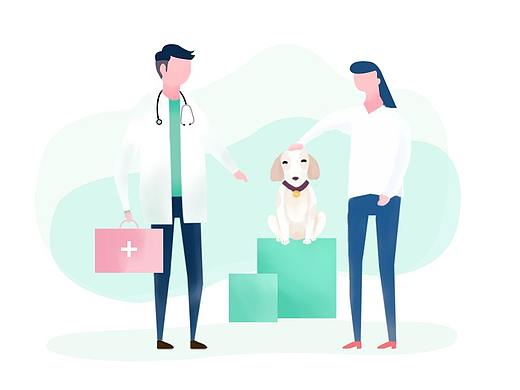 宠物医疗引导页