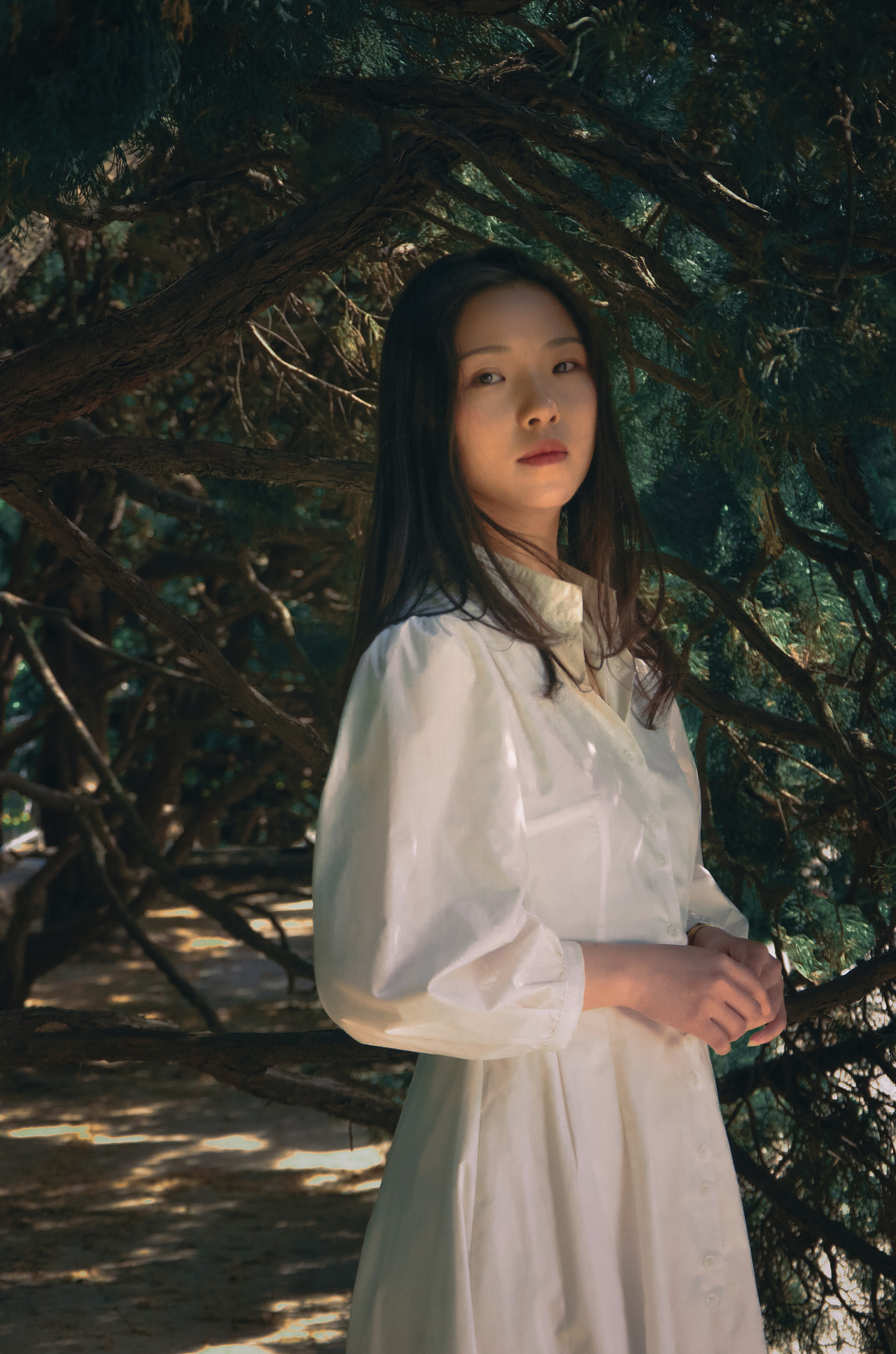 南有乔木（图ZMjUzMDg2MzE2） - 人像摄影 - 站酷设计师羊毛礦視物所原创素材 - 站酷ZCOOL