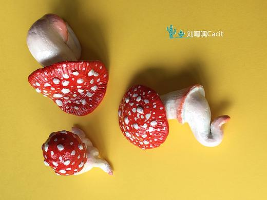 痛经蘑菇系列三只
