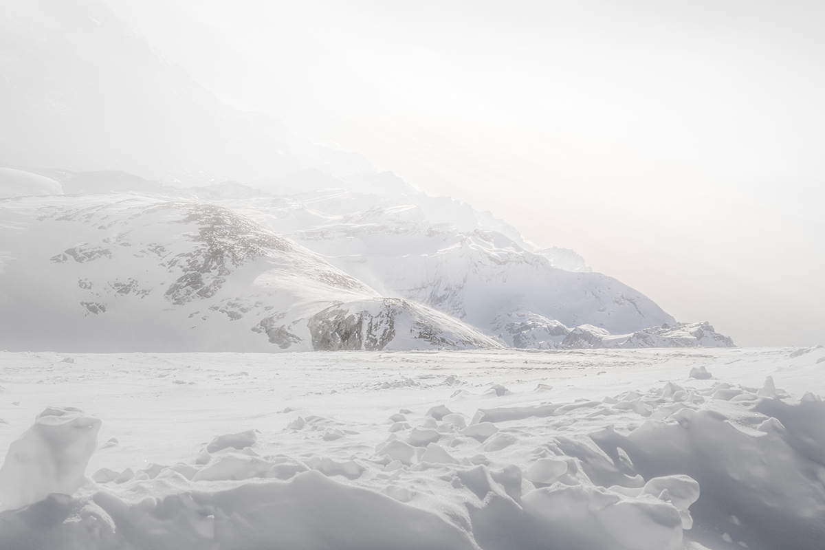 leilazz的个人主页（封面预览） - 主页封面设置 - 站酷设计师leilazz原创素材 - 站酷ZCOOL