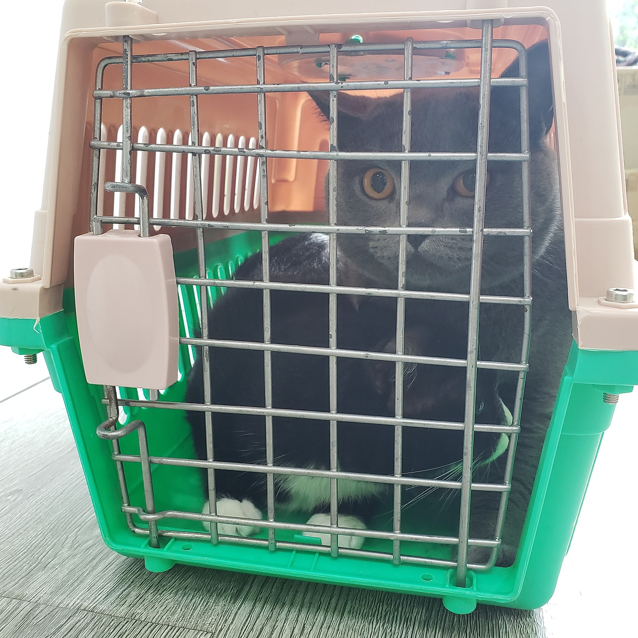 今天是。。26号（图ZMjIyMjM3ODUy） - 其他 - 站酷设计师市隐原创素材 - 站酷ZCOOL