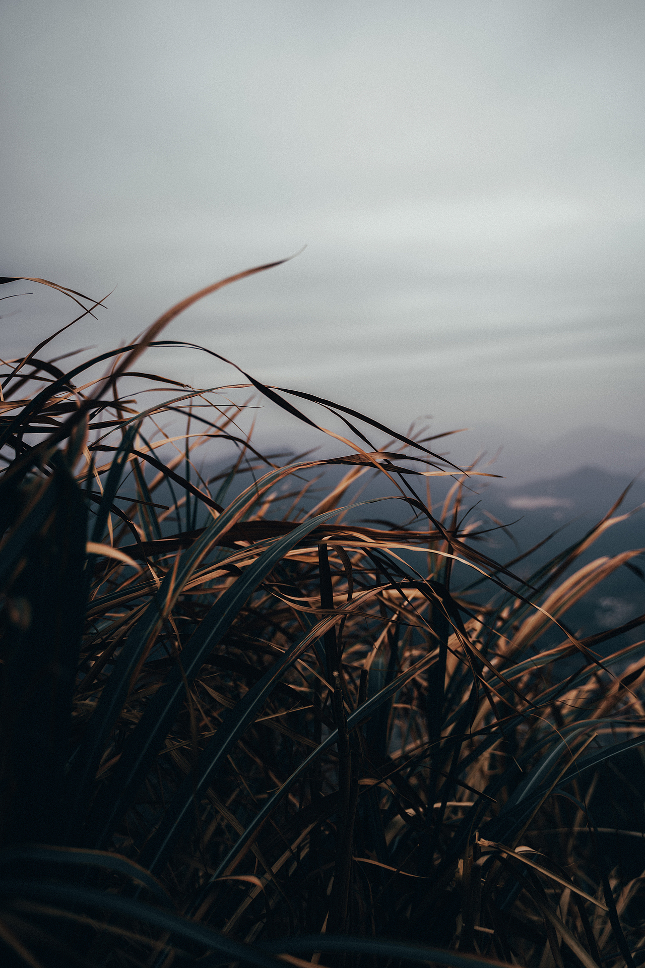 自己的路,自己欣赏。