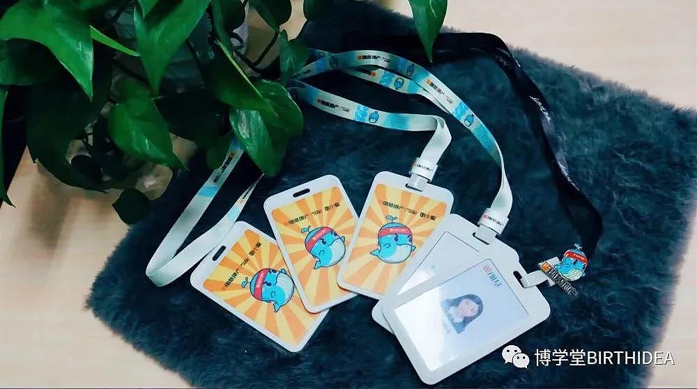 海豚ip（图ZMjM0MjAzNDky） - 商业插画 - 站酷设计师吴春雷原创素材 - 站酷ZCOOL