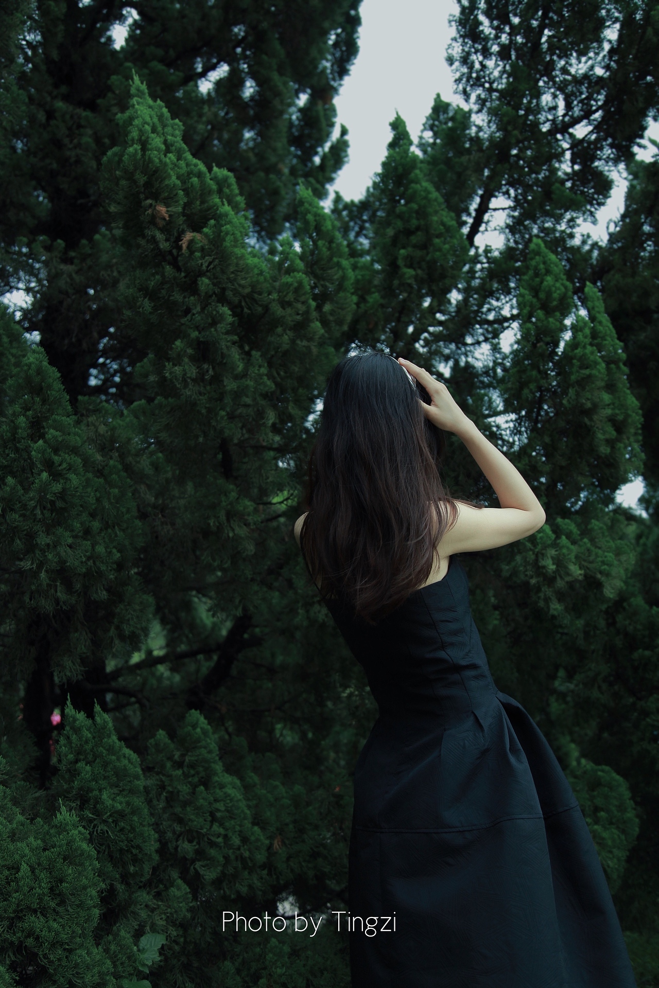 森林之子（图ZMjU4NjU0ODIw） - 时尚/艺术摄影 - 站酷设计师婷子爱摄影原创素材 - 站酷ZCOOL