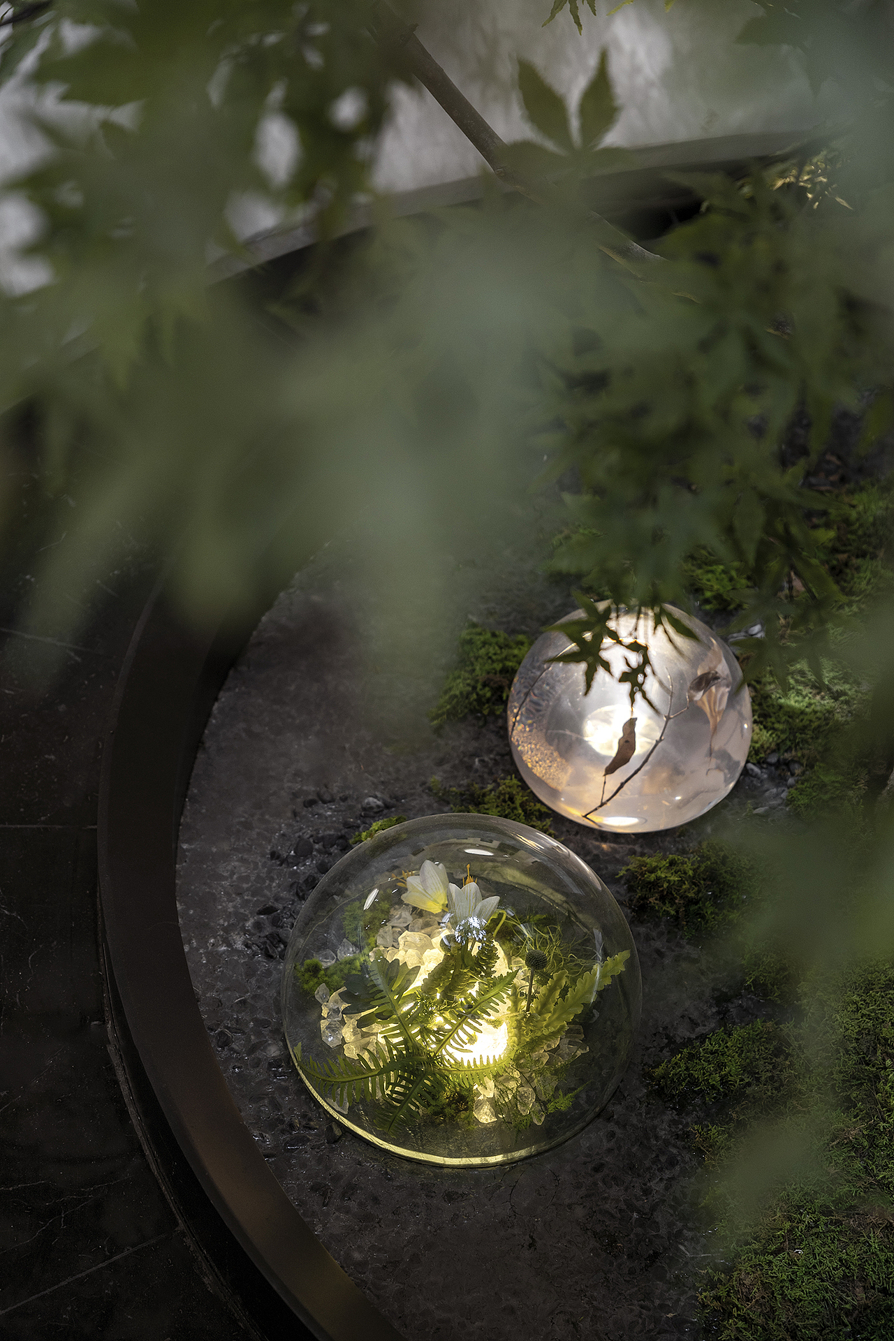 元禾大千 | 幽谷筑境  万物共生