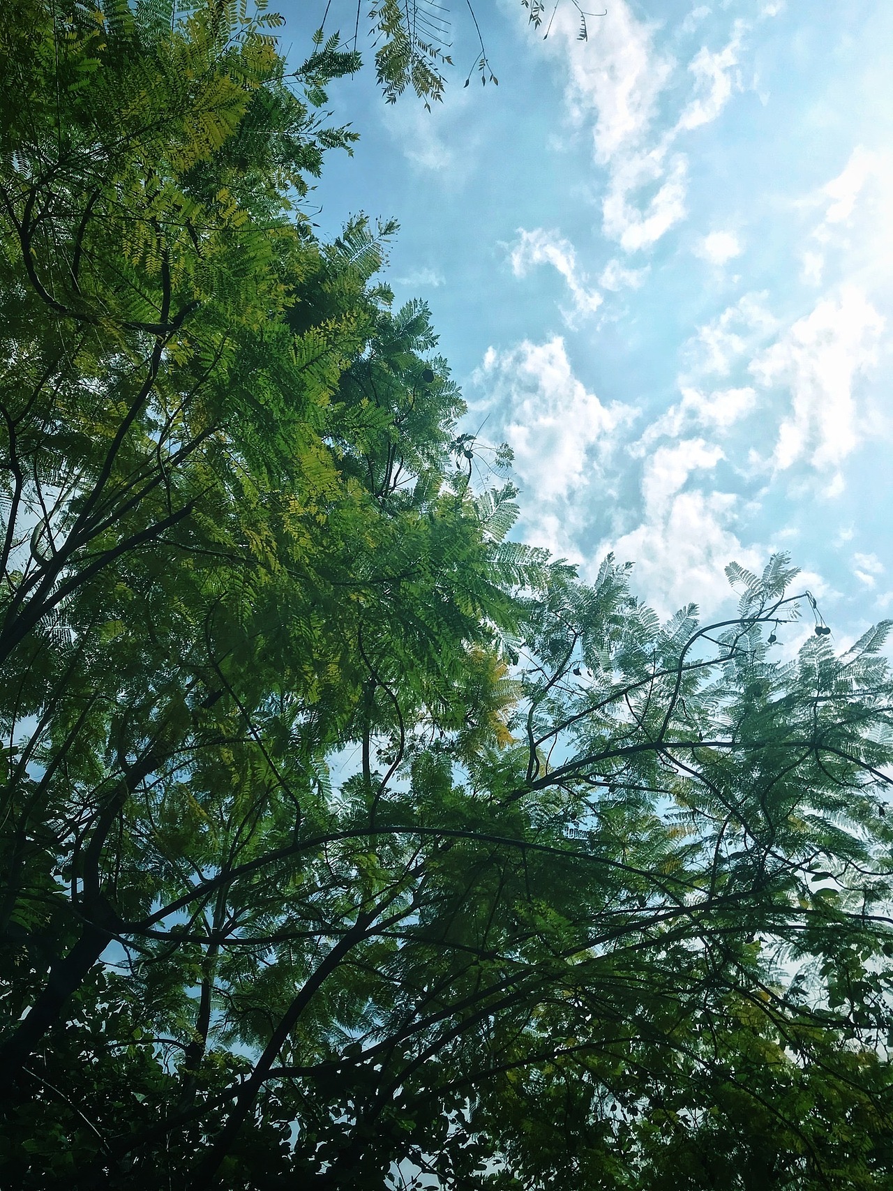 夏（图ZMjE1Mzk1MTEy） - 风光摄影 - 站酷设计师飞行滴窝窝头原创素材 - 站酷ZCOOL