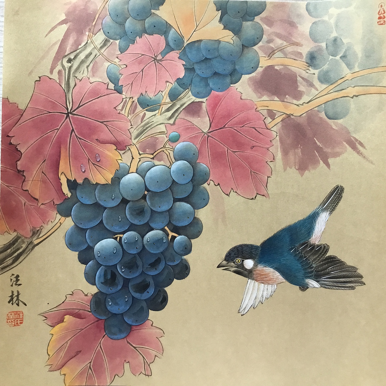 汪林工笔画葡萄