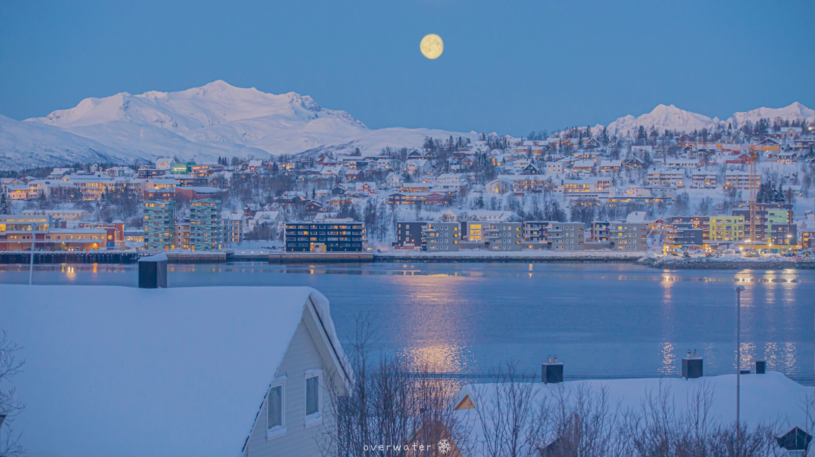 ConyCony的個人主頁（封面預(yù)覽） - 主頁封面設(shè)置 - 站酷設(shè)計師ConyCony原創(chuàng)素材 - 站酷ZCOOL