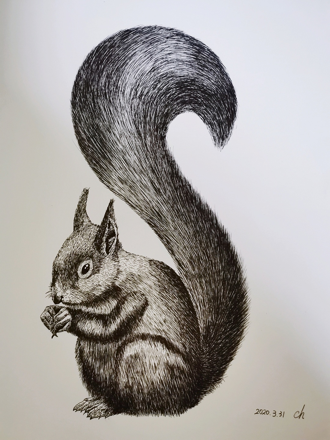 钢笔画|纯艺术|绘画|爱画画的小浩 - 临摹作品 - 站酷 (zcool)