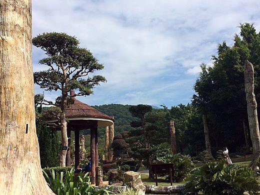 在路上遇见的风景-随手拍