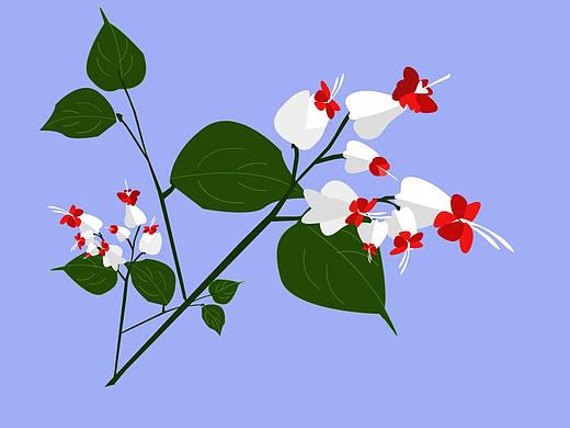 植物（個(gè)人主頁-ZMzkzMjQ4MjA=） - 創(chuàng)作習(xí)作 - 站酷設(shè)計(jì)師yyhan123原創(chuàng)素材 - 站酷ZCOOL