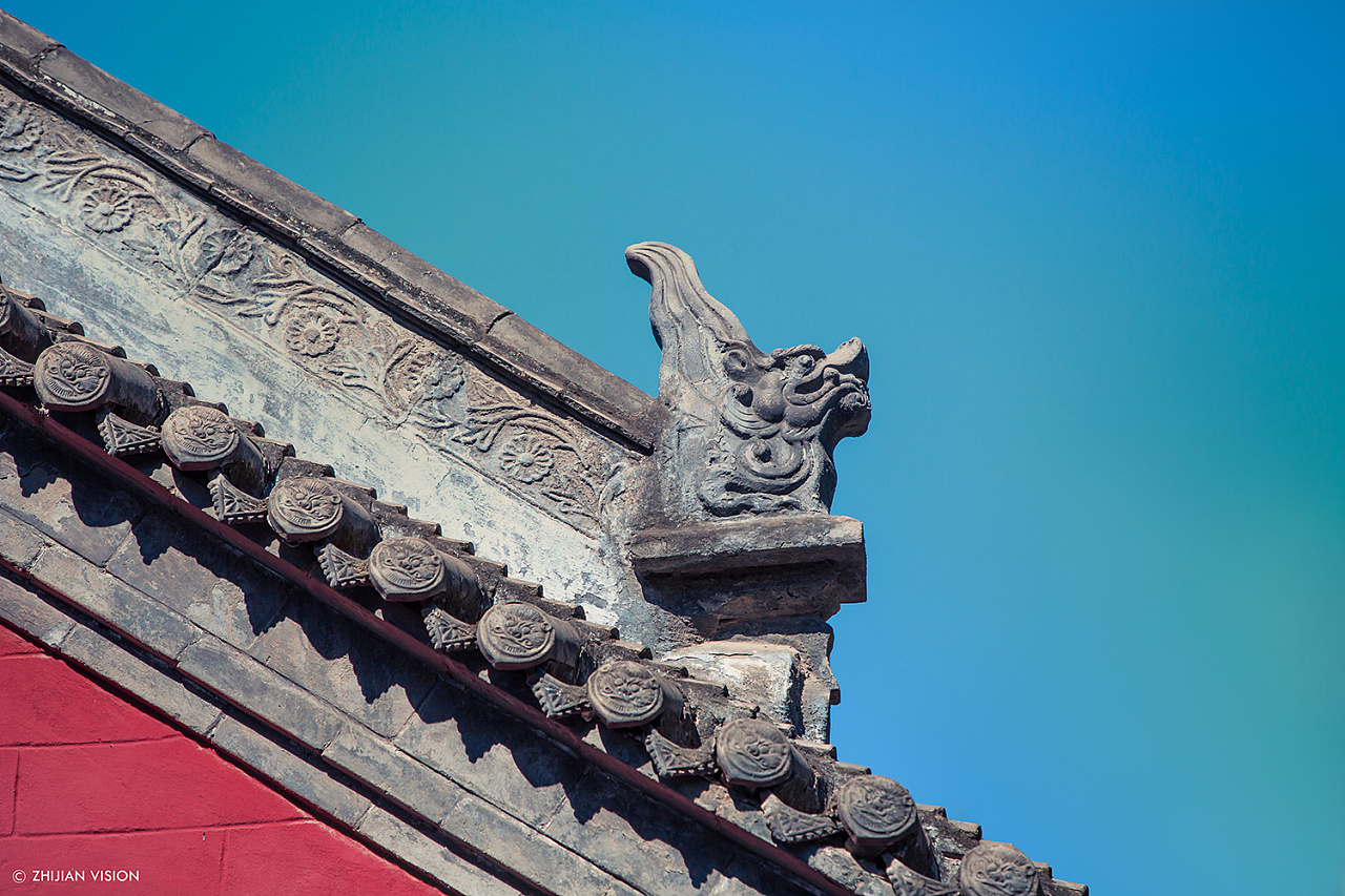 之间摄影脊兽角兽