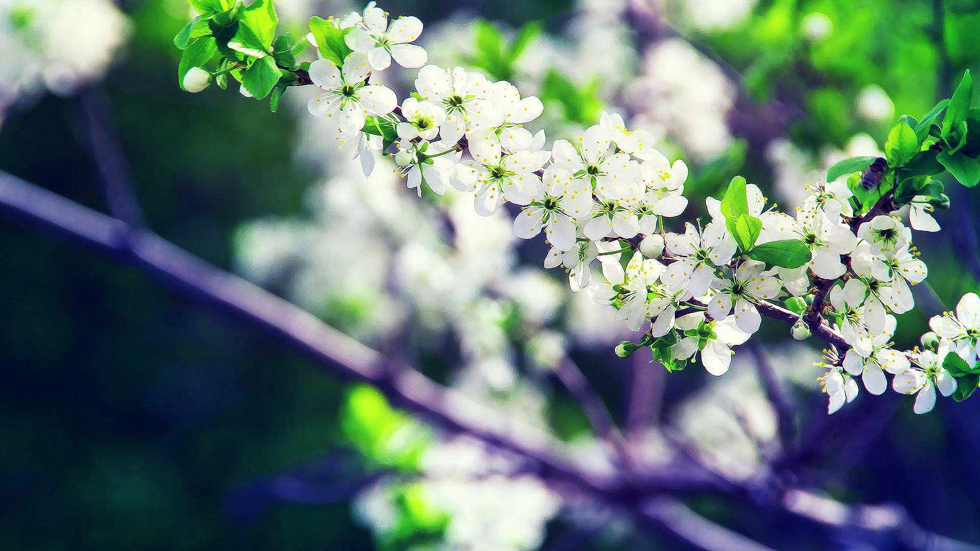 牧风游的个人主页（封面预览） - 主页封面设置 - 站酷设计师牧风游原创素材 - 站酷ZCOOL