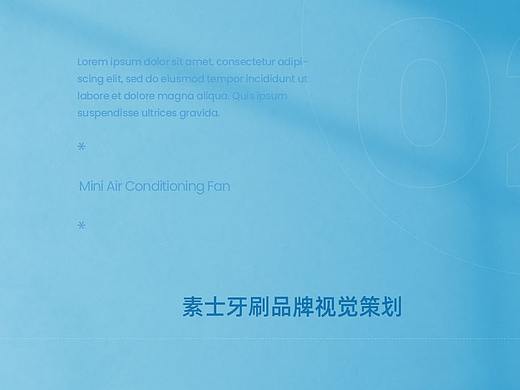 素士牙刷详情页