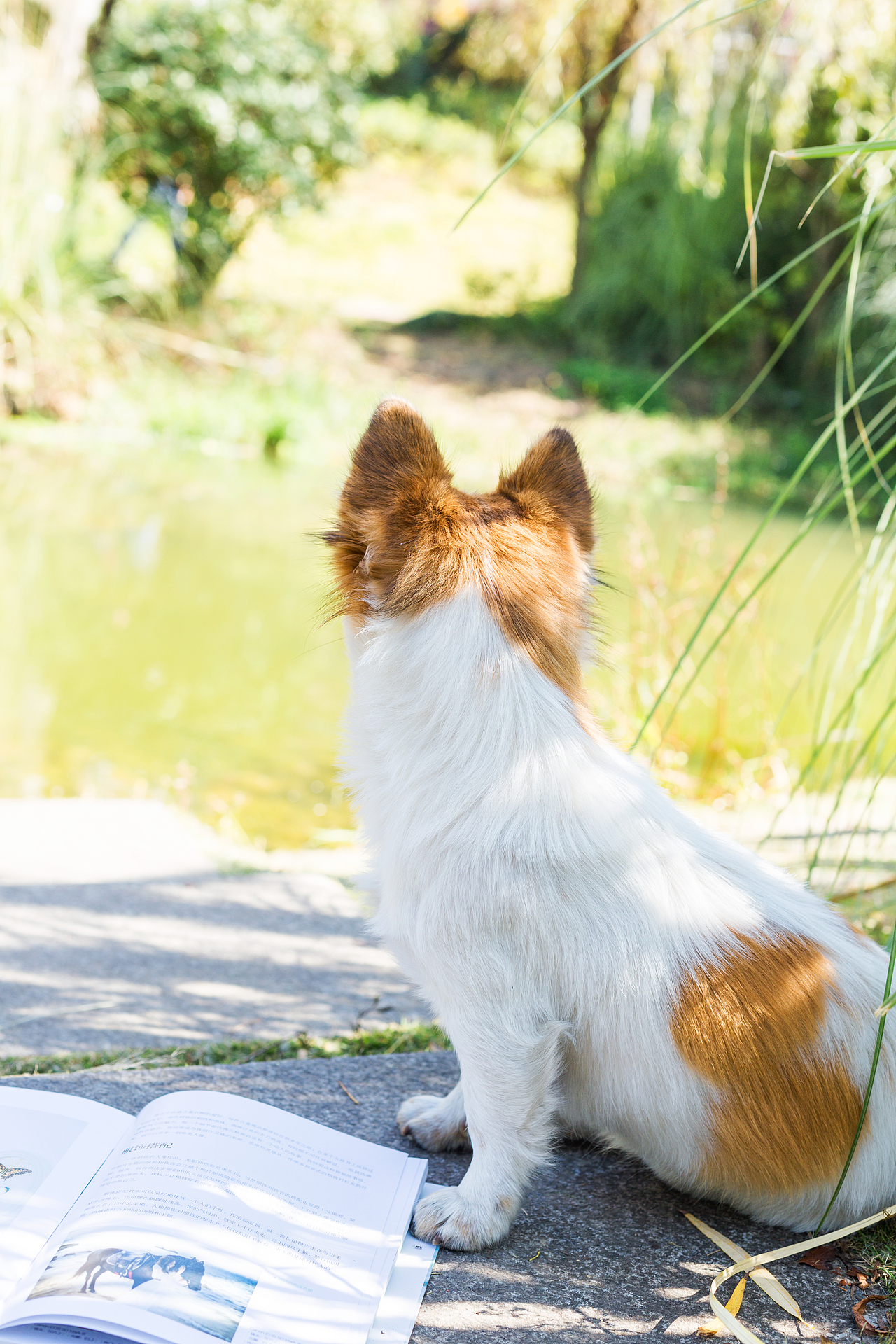 周六 晴（图ZMTM0MjY3MDMy） - 产品摄影 - 站酷设计师十月Me原创素材 - 站酷ZCOOL