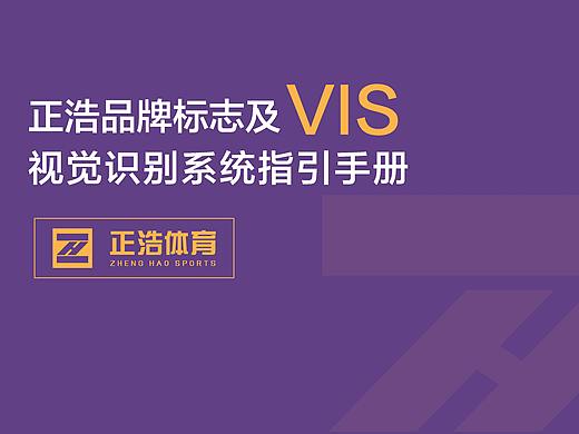 一套体育运动品牌设计