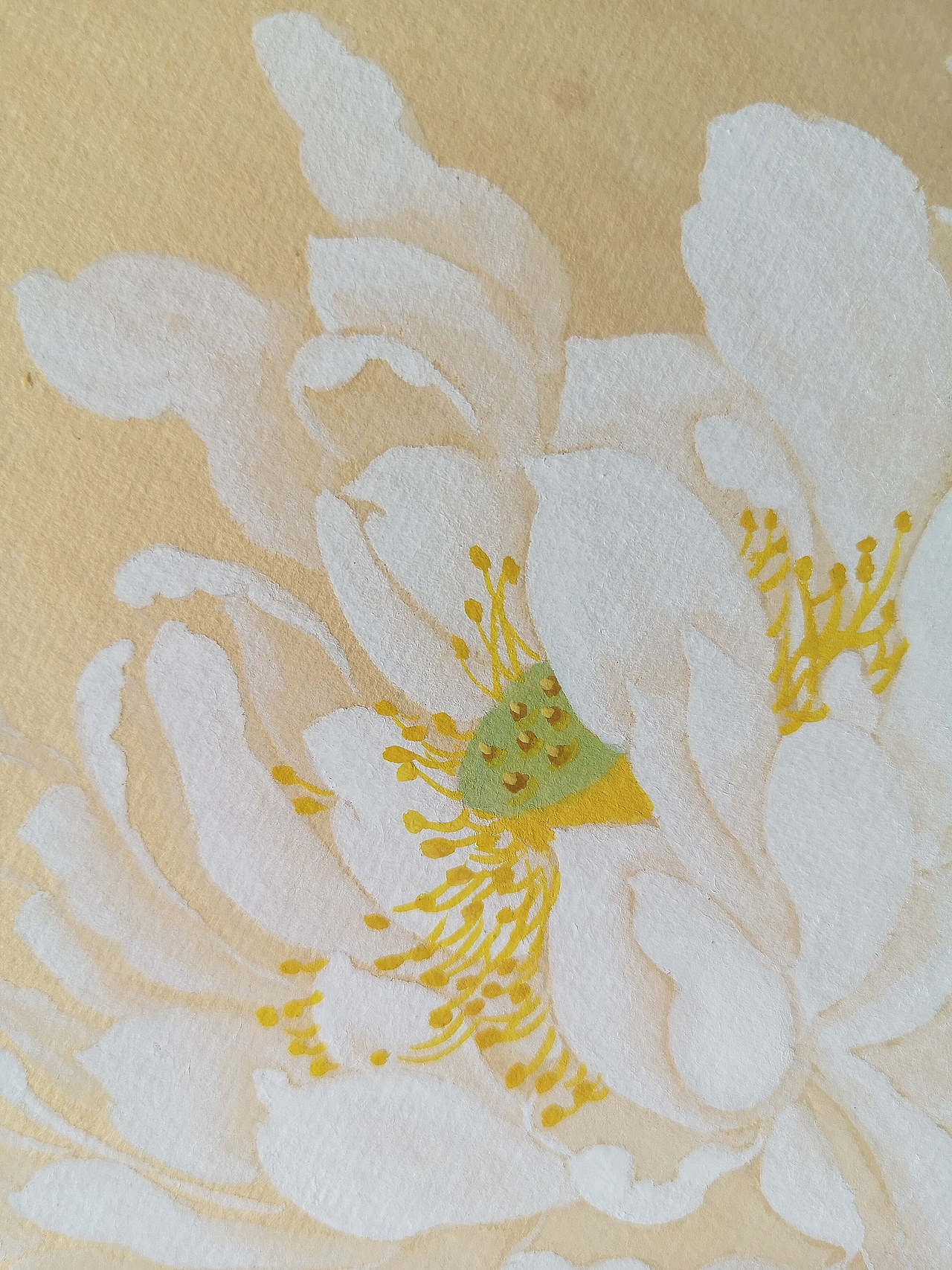 荷花小鱼（图ZMjc0NTk2Nzgw） - 绘画 - 站酷设计师养心房主原创素材 - 站酷ZCOOL