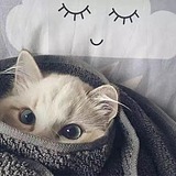 常绥的头像