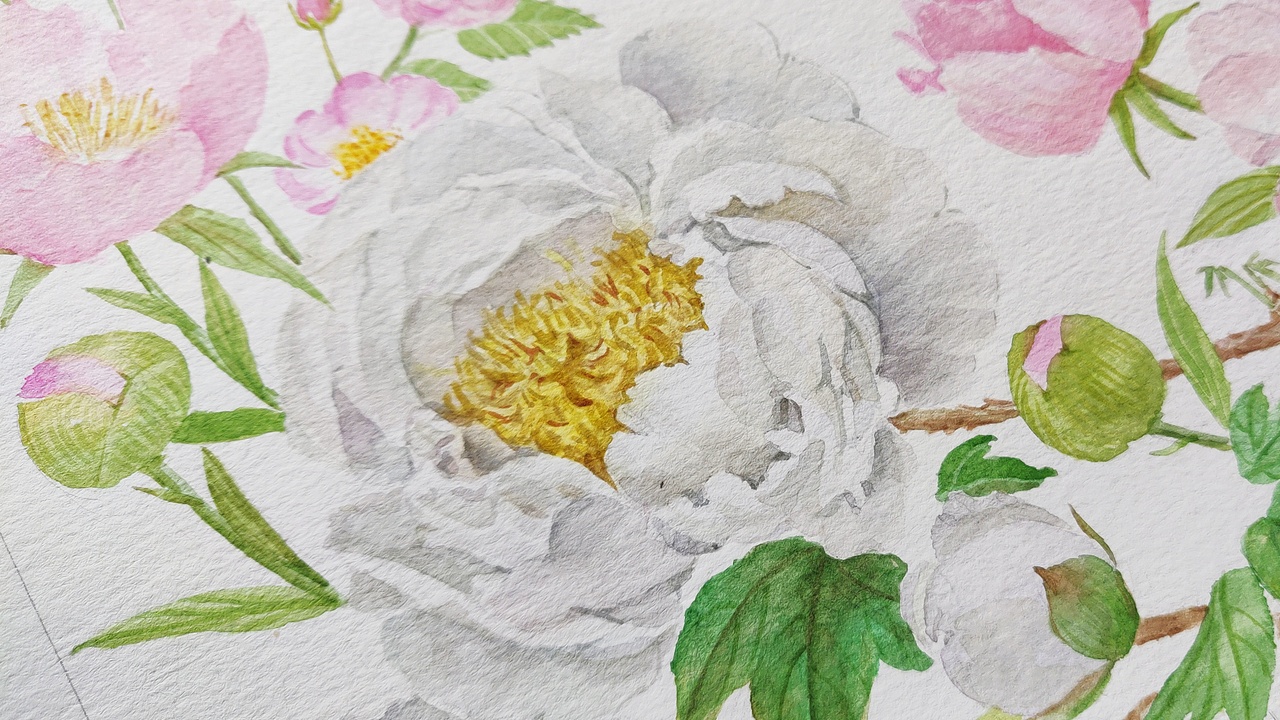 十二月花神之四月花神 牡丹花 芍药 蔷薇花(图ZMjUzNTQ0OTY4) - 绘本 - 站酷设计师淂淇原创素材 - 站酷ZCOOL