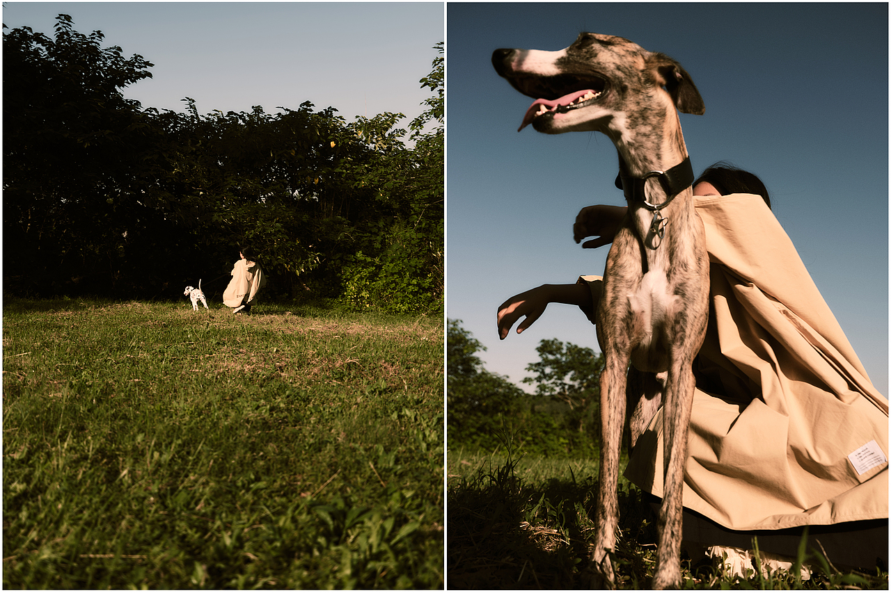 Symbiotic relationship/knowza宠物服饰形象