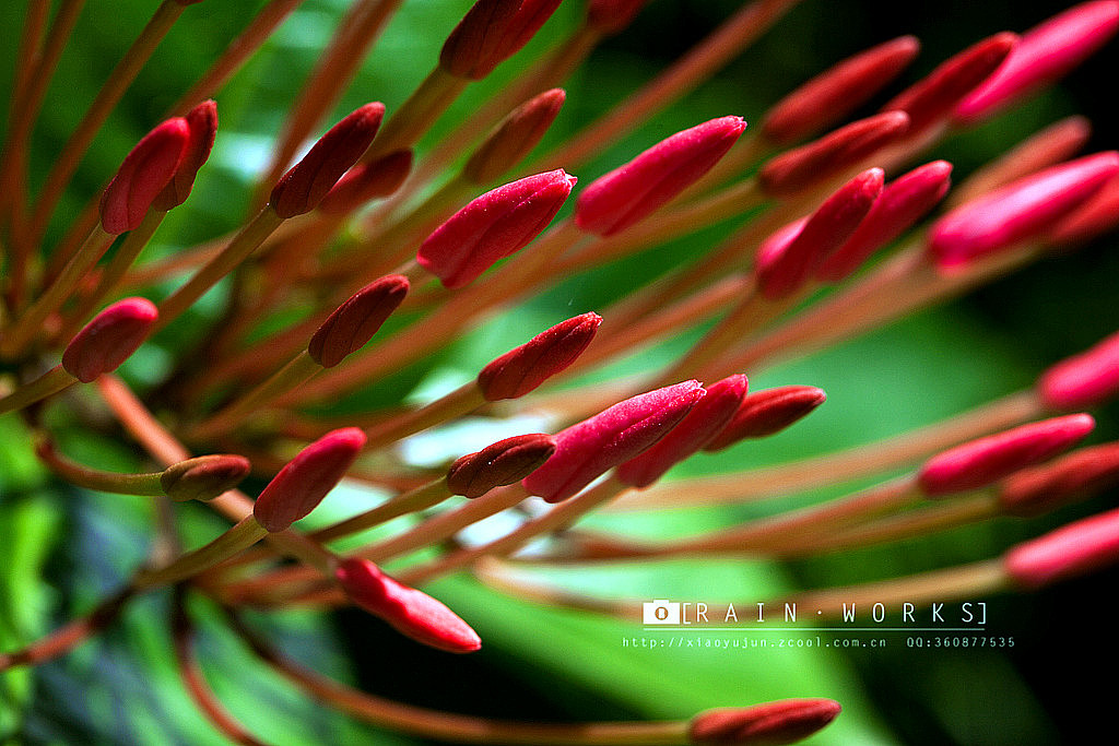 20140617-0622三亚行(图ZMTczMzc1MDQ=) - 风光摄影 - 站酷设计师火锅肥牛面原创素材 - 站酷ZCOOL