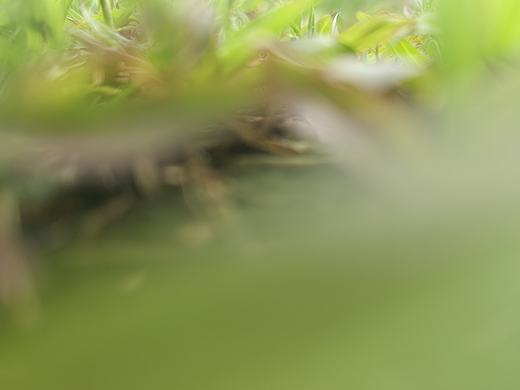 照片