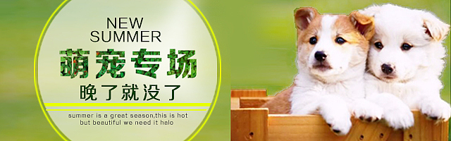 钻展图（图ZNTY3NDc1MDg=） - 运营设计 - 站酷设计师kiwekiwa原创素材 - 站酷ZCOOL