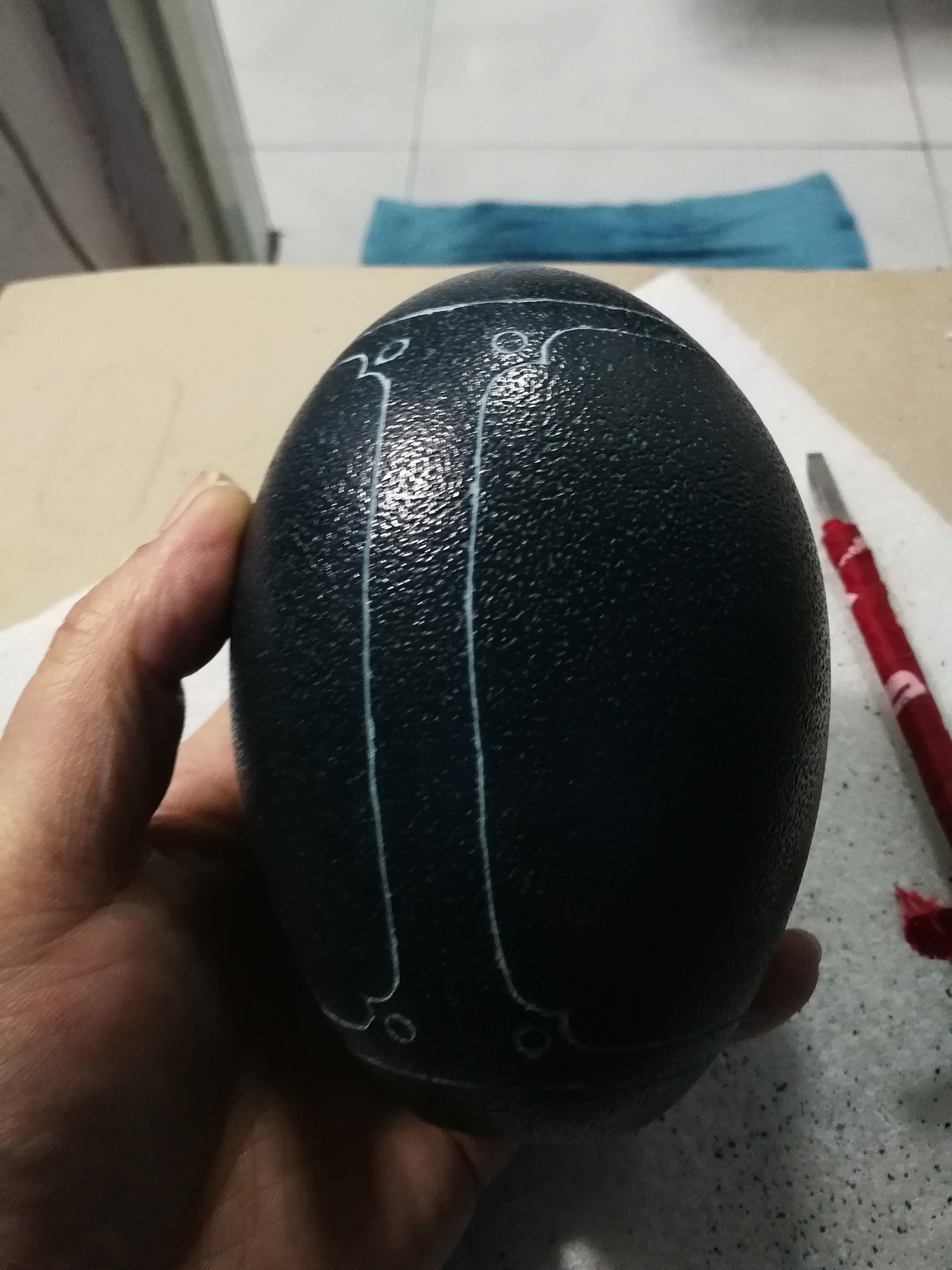 鸸鹋蛋雕生肖全家福