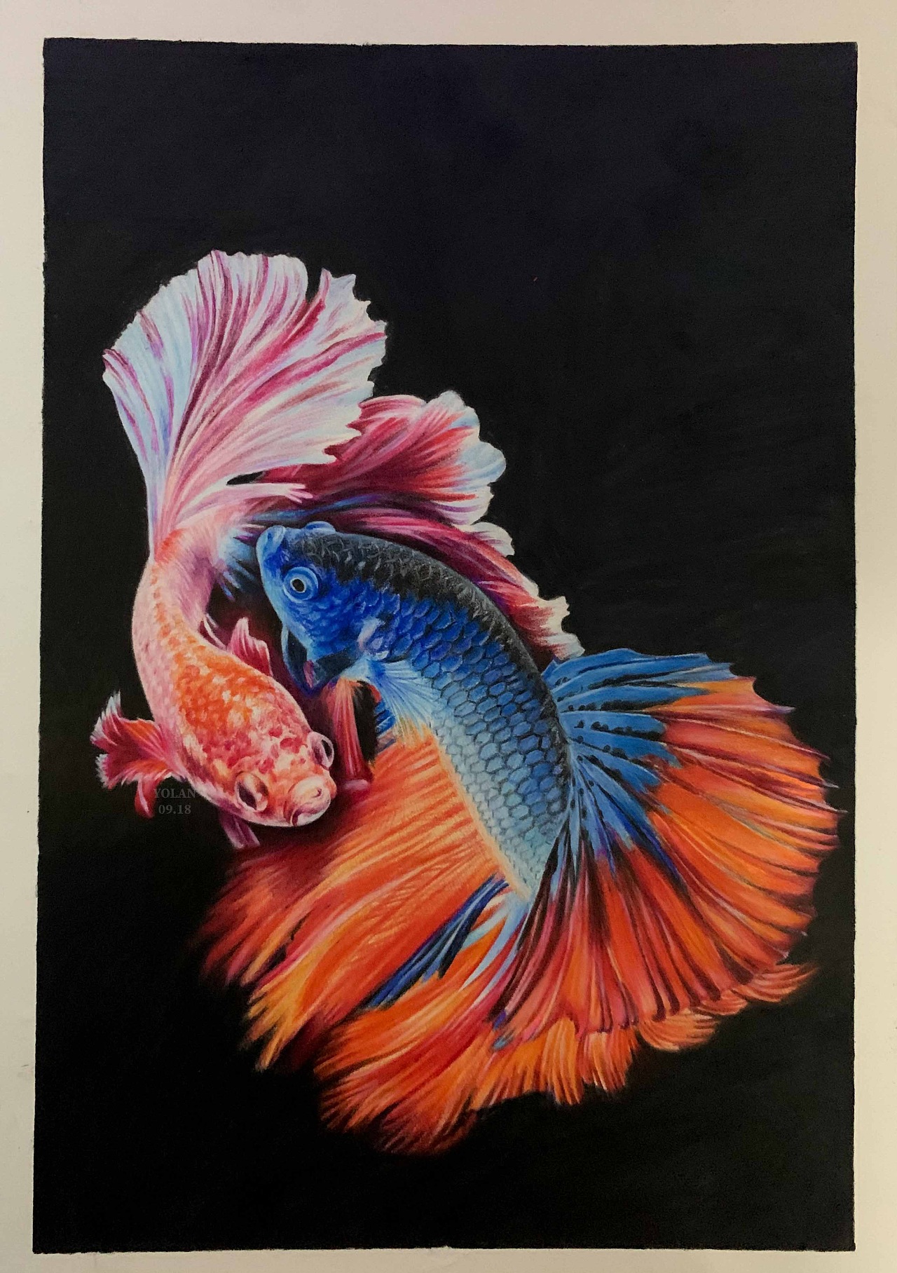 花裙子斗鱼～|纯艺术|绘画|yolan20 - 原创作品 - 站酷 (zcool)