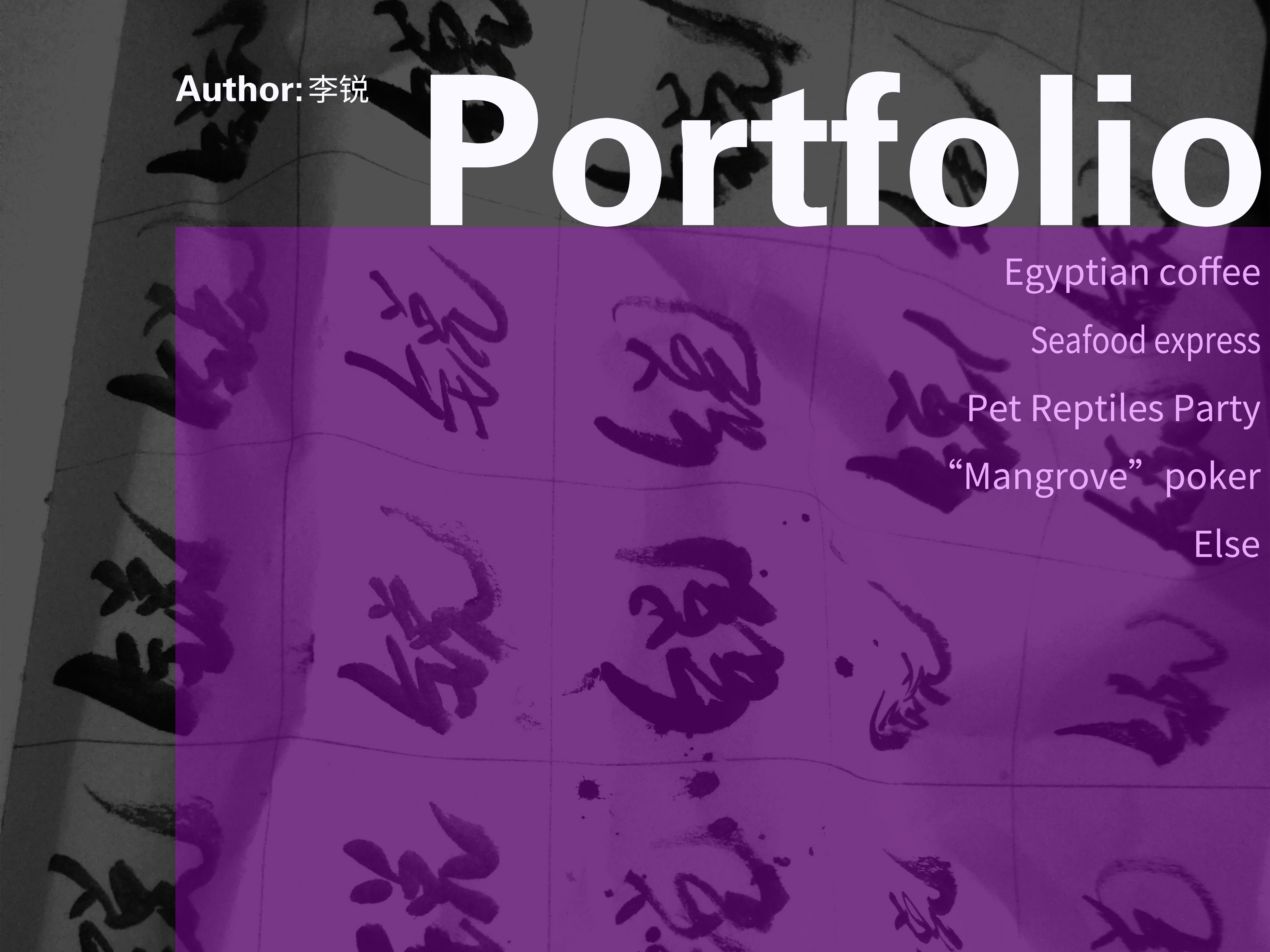 portfolio封面与背面