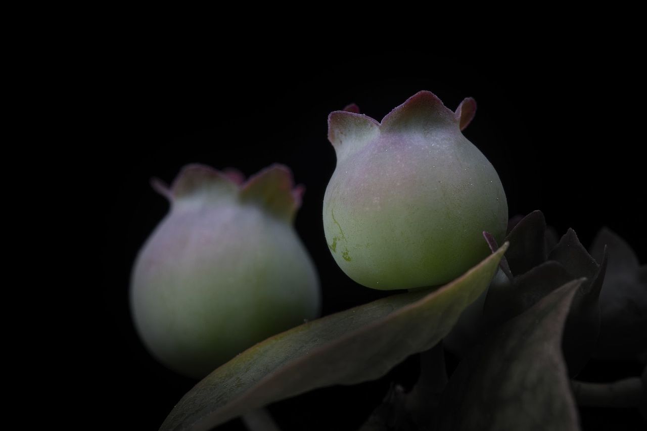 春天到了，又到了万物复苏的季节。