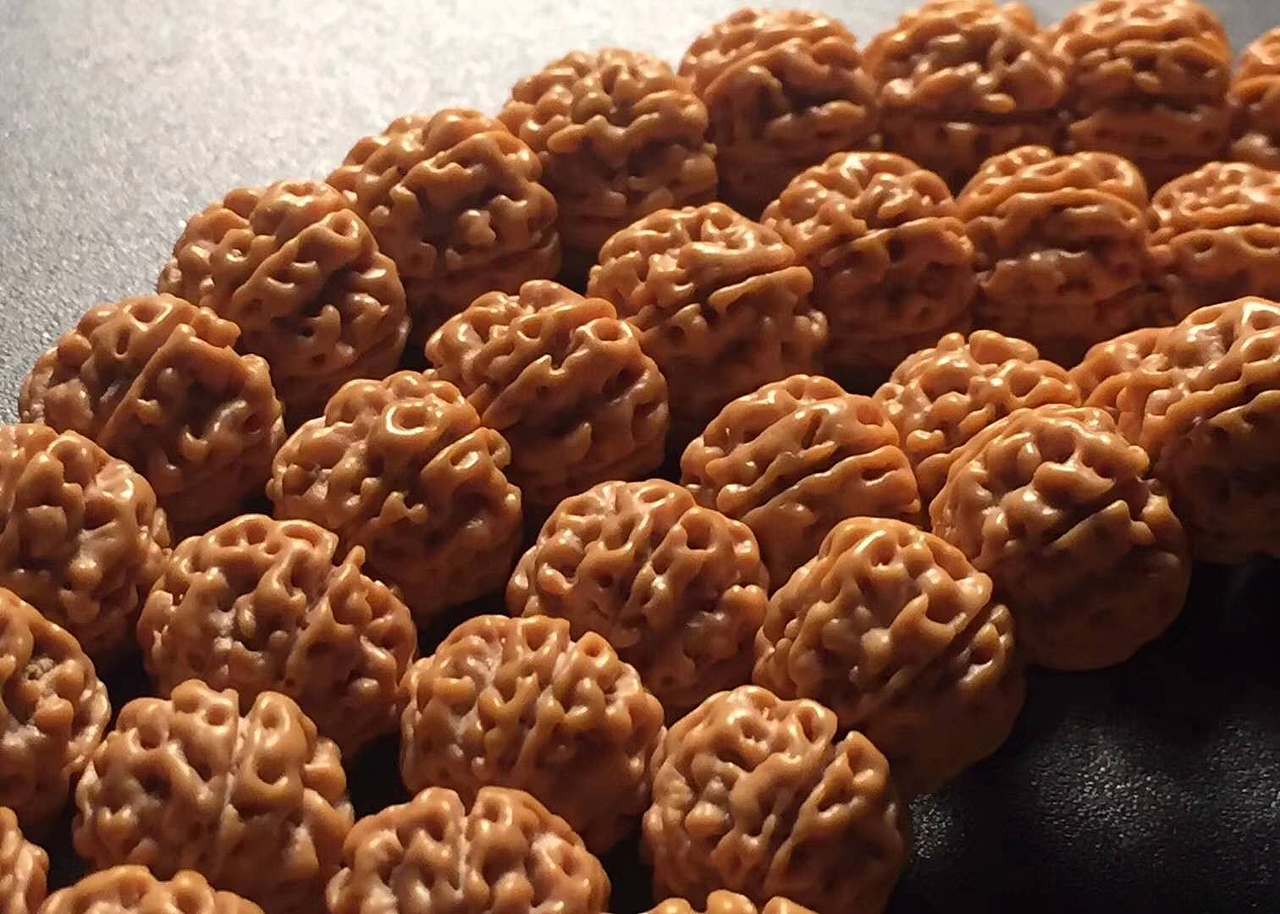 极品五瓣1.0平头平尾爆肉双龙小金刚 -----龙掌柜文玩