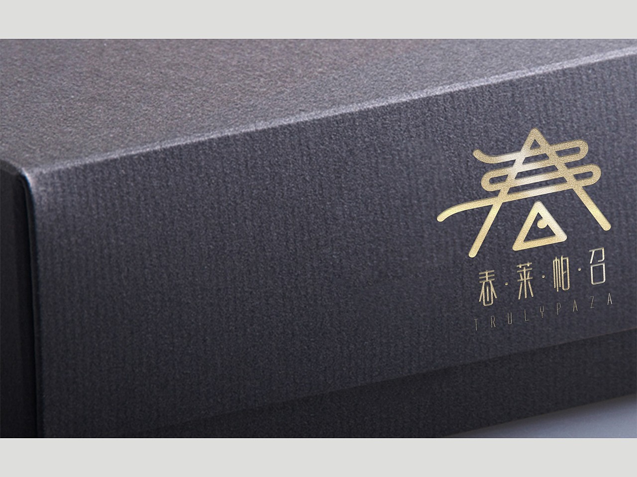 TRULYPAZA（图ZMzQ2MTE5NTI=） - Logo - 站酷设计师不是两只猪原创素材 - 站酷ZCOOL