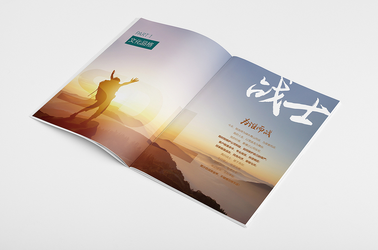 企业文化手册---北京雪迪龙科技股份有限公司