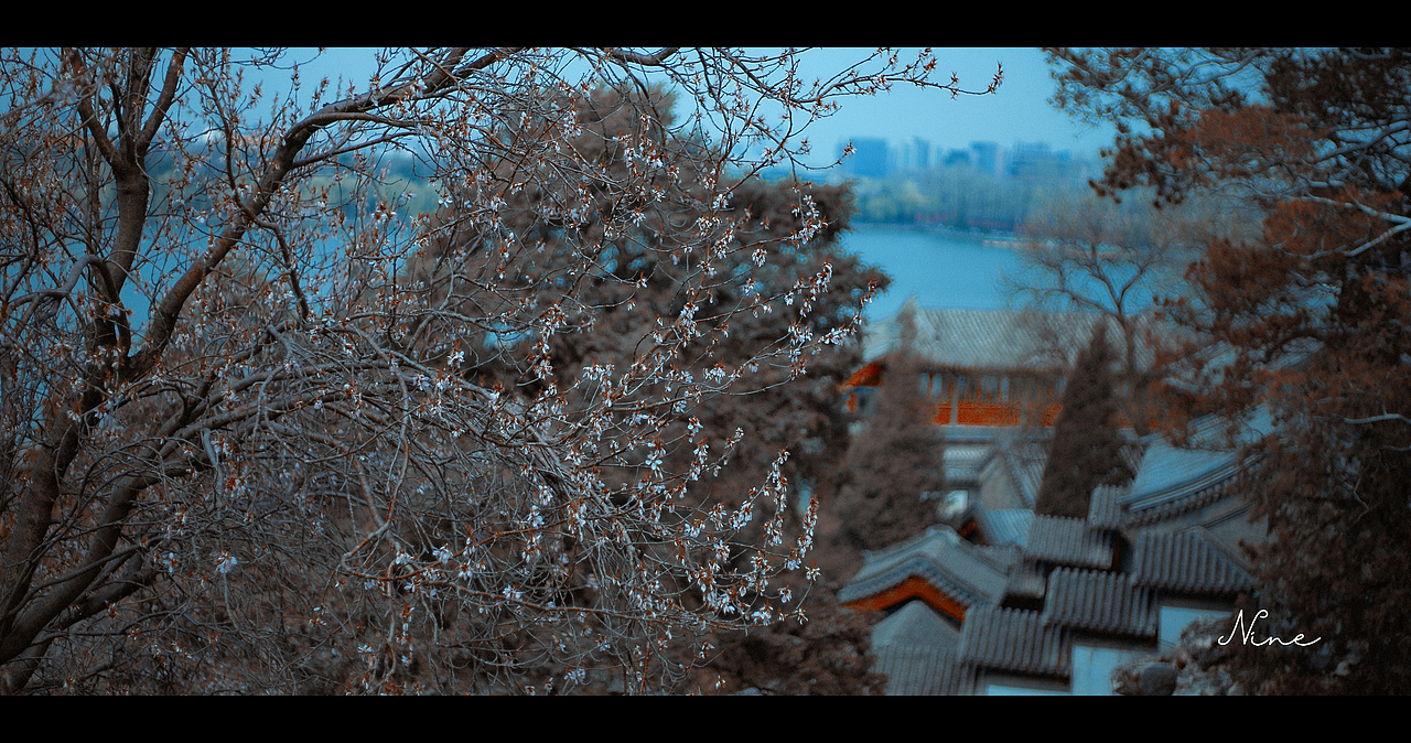 拍于北海公园的晚春