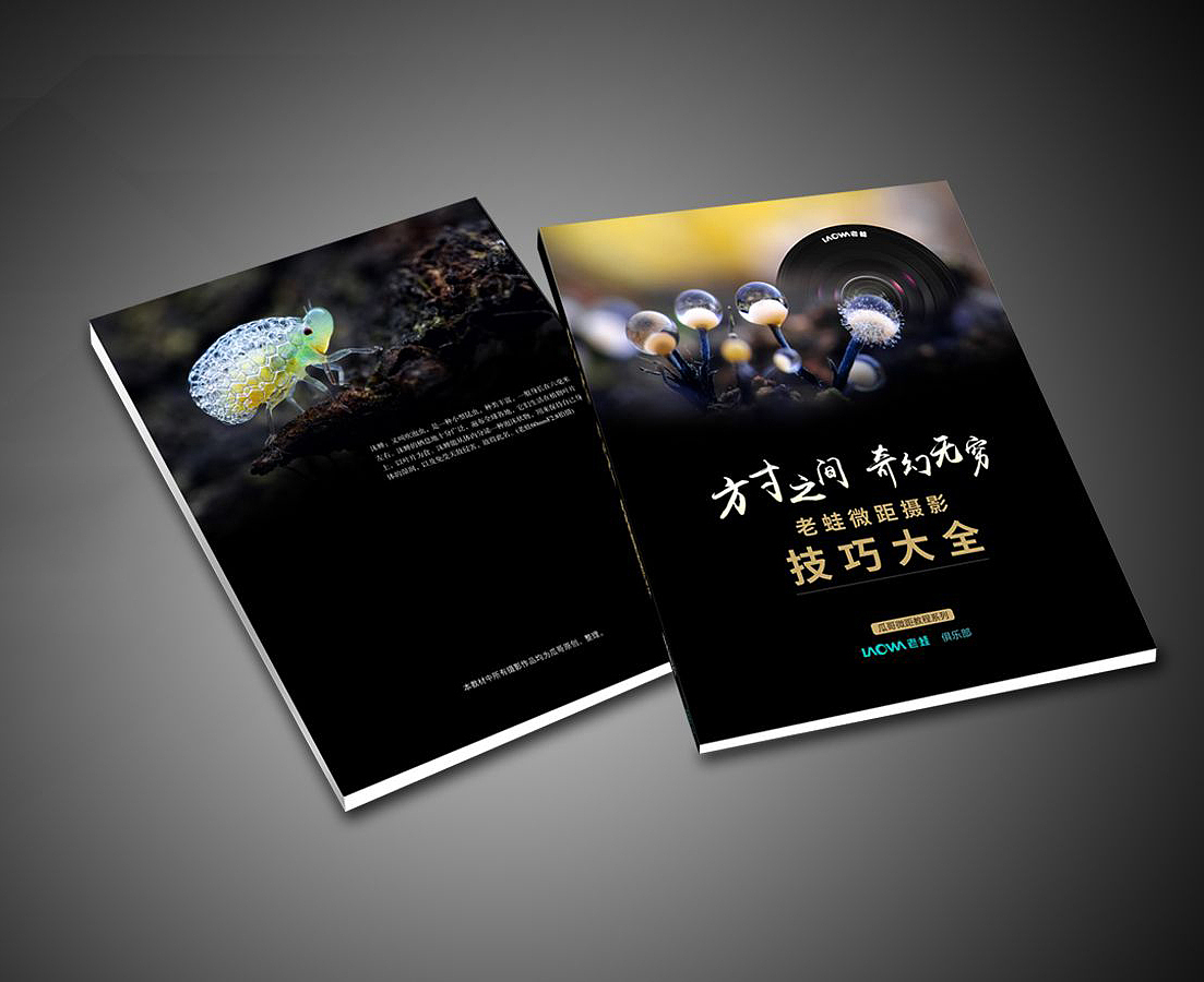 一些附近的生态微距小品（图ZMTc4MzYyNzEy） - 风光摄影 - 站酷设计师瓜哥微距摄影原创素材 - 站酷ZCOOL