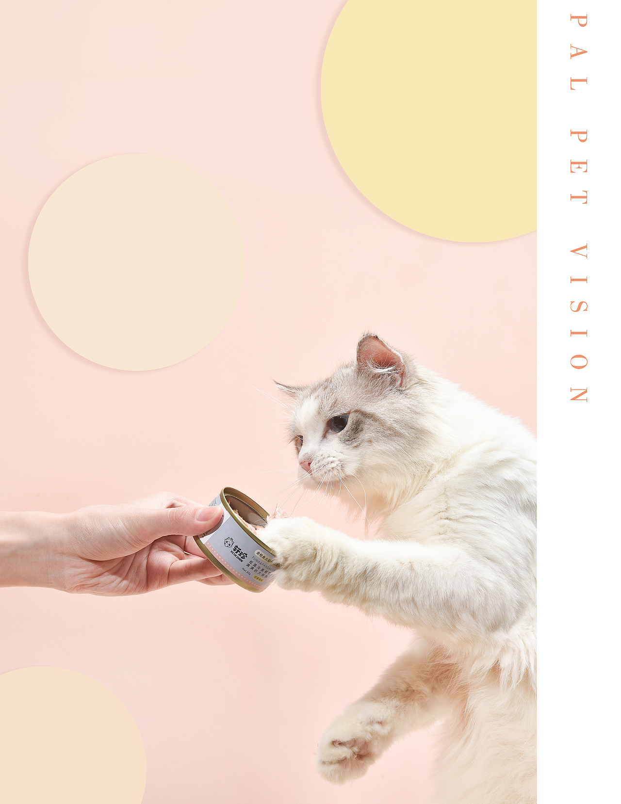 宠物产品摄影/宠物用品之宠物产品视频，再来一组混搭（图ZMjA1MjkyOTQw） - 宠物摄影 - 站酷设计师珀珀视觉原创素材 - 站酷ZCOOL