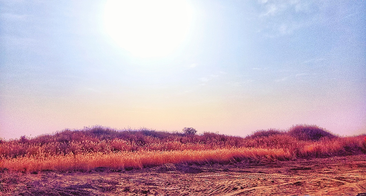 Meizu Note 5 手机拍摄 （深 秋）（图ZMTg0Mjg2MzEy） - 风光摄影 - 站酷设计师智力思维原创素材 - 站酷ZCOOL