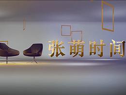 訪談節(jié)目-《張萌時(shí)間》-peccnini