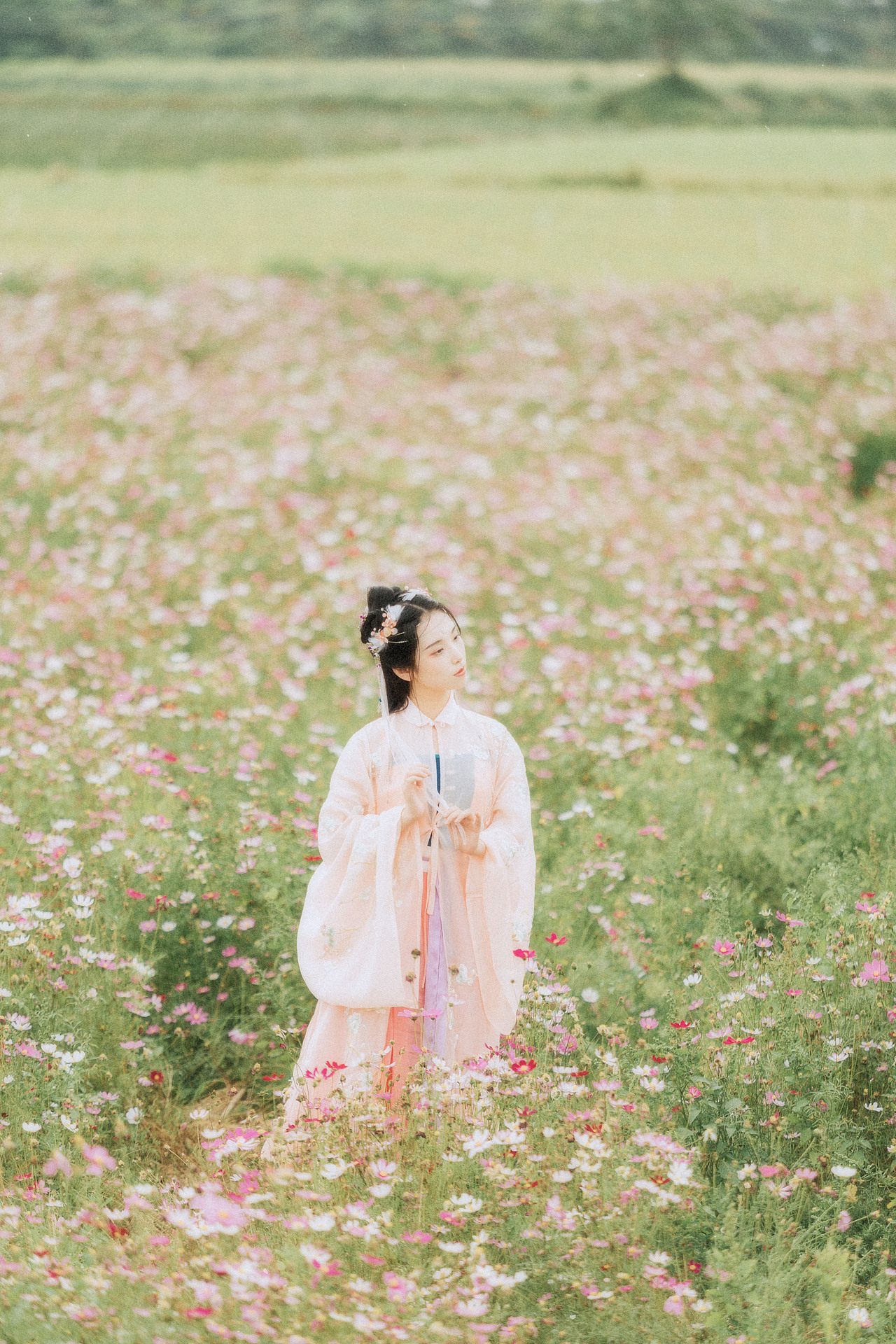 繁花孤影（图ZMjA1ODM1NzEy） - 人像摄影 - 站酷设计师若寒Rock原创素材 - 站酷ZCOOL